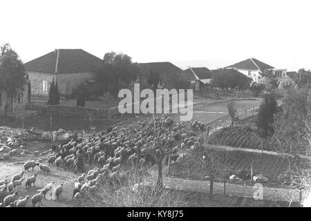 Questa immagine mostra la strada principale di Metula, Israele. Fondata nel 1896, Metula è una delle città più settentrionali di Israele, nota per il suo significato storico e il suo ruolo nell'insediamento della regione. Foto Stock