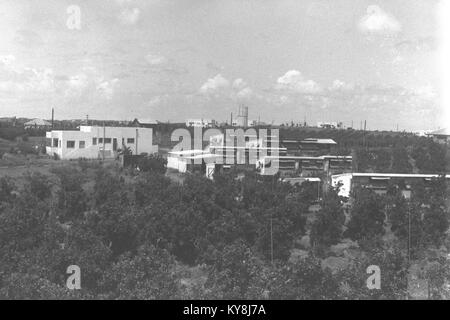 Il moshav Ramot Hashavim in Israele è un insediamento agricolo cooperativo che mette in evidenza la vita comune, le pratiche agricole e lo sviluppo rurale. Foto Stock