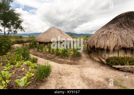 Tradizionale villaggio Dani. Piccolo villaggio locale in Papua Nuova Guinea, Wamena in Il Baliem Valley. Foto Stock