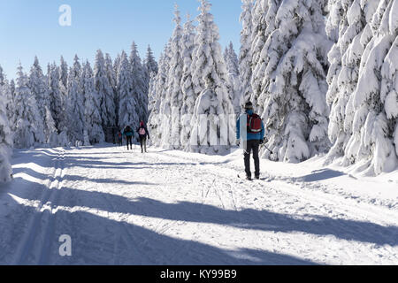 Strada invernale in montagna. Sciatore su piste piste da sci per cross-country. Alberi coperti di neve fresca in giornata soleggiata in Monti dei Giganti, Polonia Foto Stock