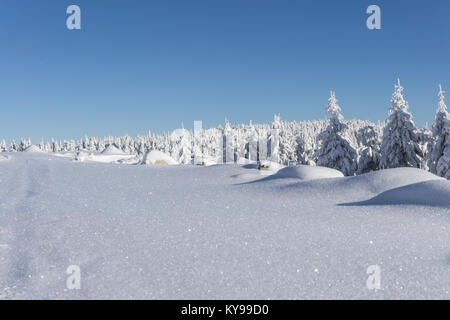 In inverno le montagne paesaggio. Alberi coperti di neve fresca in giornata soleggiata. Karkonosze, Monti dei Giganti, Polonia. Foto Stock