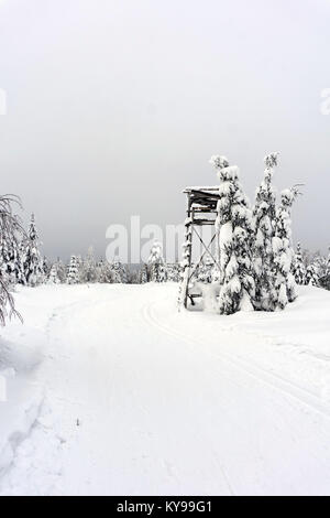 Deer stand - supporto albero - torre di vedetta in montagna. Alberi coperti di neve fresca. Curate piste da sci per cross-country. In inverno il paesaggio di montagna. Foto Stock