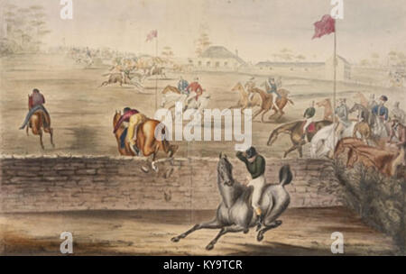 Steeplechasing è uno sport equestre che coinvolge cavalli e cavalieri che navigano sugli ostacoli lungo un percorso prestabilito. In Australia, è un evento popolare nelle corse di cavalli e ha un seguito significativo. Foto Stock