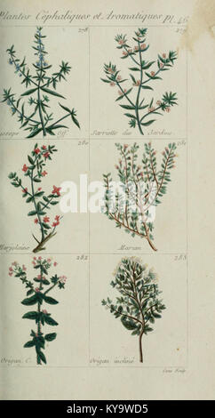 Plantes usuelles, indigènes et exotiques (Pl. 46) (6104000214) Foto Stock