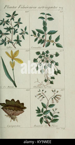 Plantes usuelles, indigènes et exotiques (Pl. 72) (6103460007) Foto Stock