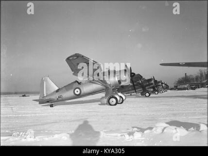 Il Westland Lysander II, aereo n. 421, del No. 112 (AC) Squadron della Royal Canadian Air Force (RCAF), è mostrato in volo. Questo aereo era noto per le sue missioni di ricognizione e supporto tattico durante la seconda guerra mondiale Foto Stock