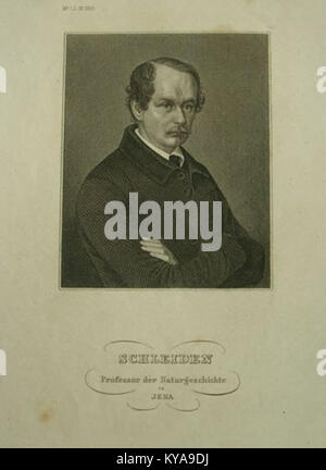 Matthias Jacob Schleiden Botaniker Jena Thüringen ritratto Stahlstich um 1850 Foto Stock