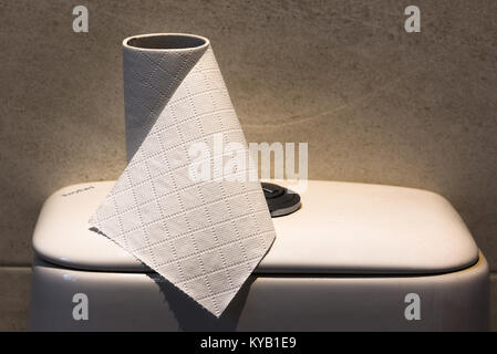 Textured rotolo di carta igienica sul water. Foto Stock
