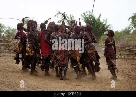 Hamer tribe - donne che danzano durante 'bull jump': la più importante cerimonia per i giovani uomini, l'ultima prova prima di passare in età adulta. Etiopia Foto Stock