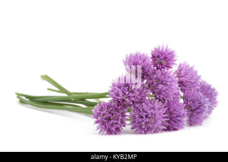 Erba cipollina bouquet di fiori isolati su sfondo bianco Foto Stock