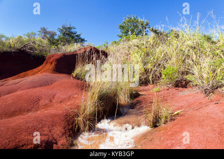 Un piccolo fiume che attraversa una zona di intensamente rosso sporco vicino al Canyon di Waimea in Kauai, Hawaii. Foto Stock