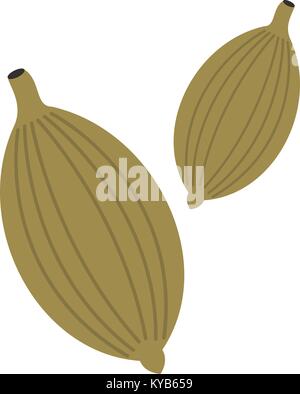 Green i semi di cardamomo icona isolato Illustrazione Vettoriale