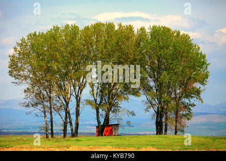 Golden Sunset over il bulgaro farmland, alberi e piccola casa rossa in foredgound, caldi colori del tramonto Foto Stock