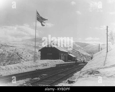 La stazione di Mjölfjell nel comune di Voss, contea di Vestland, Norvegia, è stata inaugurata nel 1908 sulla linea Bergen, serve servizi ferroviari regionali ed espressi ed è situata in una valle di montagna nota per il turismo, le cabine e le attività ricreative all'aperto. Foto Stock