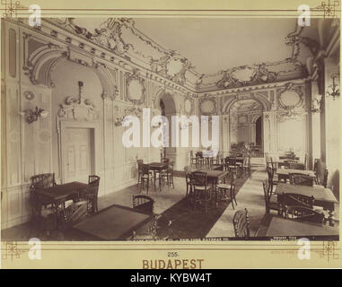 Una fotografia storica del New York Café di Budapest, scattata intorno al 1894. L'immagine cattura i grandi interni e l'architettura del caffè, riflettendo la cultura urbana ungherese del tardo XIX secolo. Foto Stock