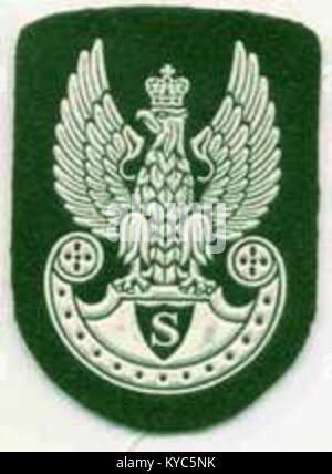 Un'immagine di un distintivo di berretto pressato, probabilmente da un'uniforme militare o di un tiratore. Il distintivo presenta un simbolo o un emblema che rappresenta l'identità e il rango organizzativo, che riflette il suo significato storico e simbolico. Foto Stock