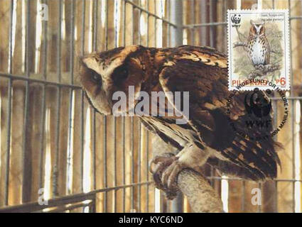 Un francobollo filippino del 2004 presenta Otus gurneyi, una specie di gufo, che enfatizza la conservazione della fauna selvatica, le specie rare e la rappresentazione filatelica. Foto Stock