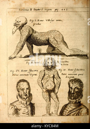 Lastra incisa dalla Physica curiosa di Gaspar Schott, un'opera enciclopedica latina del XVII secolo sulle meraviglie naturali e artificiali. Foto Stock