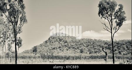 I terreni agricoli e bush vicino Clairview, Queensland, Australia Foto Stock