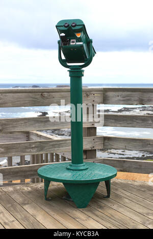 Gettoniera sightseeing binocolo a piattaforma di visualizzazione vicino Seal Rock e i Nobbies Phillip Island Victoria Australia Foto Stock