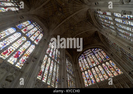 Ventilatore da soffitto vault e le vetrate di Kings College Chapel presso l'Università di Cambridge, Inghilterra Foto Stock