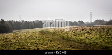 Tralicci visto attraverso campi Bilton, Harrogate Foto Stock