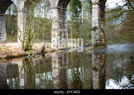 Il Viadotto Nidd a Bilton, Harrogate riflesso nel fiume Foto Stock