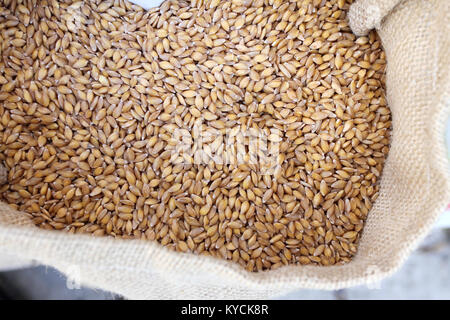 Il grano. Fresche biologiche Einkorn chicchi di grano nel sacco bianco, vista dall'alto del cibo sano Foto Stock