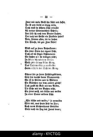 Un'illustrazione di Gerok intitolata "Palmblätter" che mostra disegni botanici dettagliati di foglie di palma, evidenziando la struttura delle foglie e la forma naturale nello studio scientifico o artistico. Foto Stock