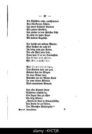 Illustrazione botanica intitolata "Palmblätter" di Gerok, con uno studio sulle foglie di palma con enfasi sulla loro consistenza, venazione e classificazione botanica. Foto Stock