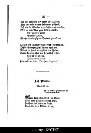 Una stampa botanica intitolata "Palmblätter 117" di Gerok mostra rendering dettagliati di foglie di palma con motivi e texture di vena chiara, illustrando la morfologia delle palme come parte degli studi botanici del XIX secolo. Foto Stock