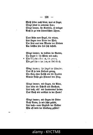 Un'illustrazione botanica decorativa di Gerok intitolata "Palmblätter", piatto 138, raffigurante forme dettagliate di foglie di palma in stile artistico. Foto Stock