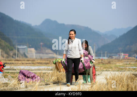 Qiandongnan, della Cina di Guizhou. Xiv gen, 2018. Famers opera in un fungo commestibile campo al villaggio di cenge in Nanming township di Jianhe County, Qiandongnan Miao e Dong prefettura autonoma, a sud-ovest della Cina di Guizhou, 14 gennaio 2018. Credito: Yang Wenbin/Xinhua/Alamy Live News Foto Stock