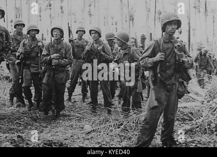 Una fotografia che mostra i soldati dell'esercito americano di ritorno da una pattuglia nei pressi di Arawe, Papua nuova Guinea, nel dicembre 1943, raffigurante uniformi militari, attrezzature e operazioni della seconda guerra mondiale. Foto Stock