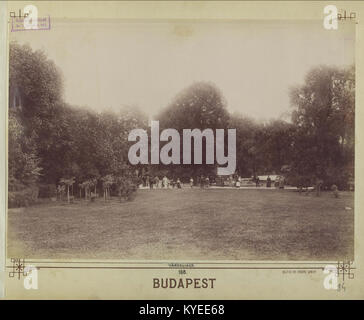 Questa fotografia storica del Városliget (parco cittadino) di Budapest cattura una vista panoramica del parco, un significativo spazio verde urbano noto per le sue offerte culturali e ricreative. Városliget è sede di musei, uno zoo e monumenti storici ed è uno dei parchi pubblici più visitati di Budapest. Foto Stock