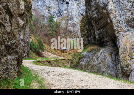 Tortuosa strada attraverso la gola in primavera, Piatra Craiului National Park, Romania. Foto Stock