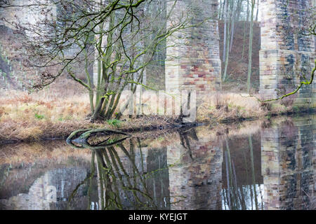 Il Viadotto Nidd a Bilton, Harrogate riflesso nel fiume Foto Stock