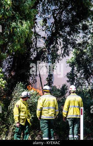 Newcastle, Australia. Xiv gen, 2018. Ventilata dalle gale force avvolge una grande bushfire burning nei pressi di Newcastle, NSW, Australia ha costretto l'aeroporto della città e Air Force Base di chiudere e di emergenza e di avvertimento emesso per dei sobborghi circostanti. Credito: Hugh Peterswald/Pacific Press/Alamy Live News Foto Stock