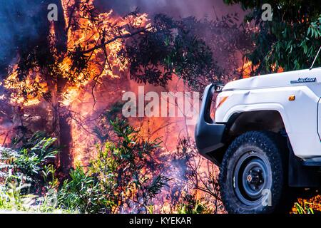 Newcastle, Australia. Xiv gen, 2018. Ventilata dalle gale force avvolge una grande bushfire burning nei pressi di Newcastle, NSW, Australia ha costretto l'aeroporto della città e Air Force Base di chiudere e di emergenza e di avvertimento emesso per dei sobborghi circostanti. Credito: Hugh Peterswald/Pacific Press/Alamy Live News Foto Stock