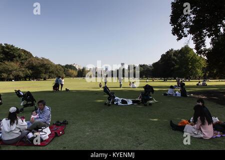 Famiglie picnic a Shinjuku Gyoen National Garden, un parco pubblico spanning di Shinjuku e Shibuya di Tokyo, Giappone, 27 ottobre 2017. () Foto Stock