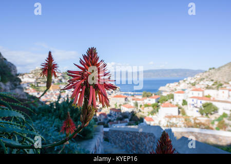 Torcia fiore di giglio e panorama di idra porta, un'isola nel Peloponneso, Grecia. Foto Stock