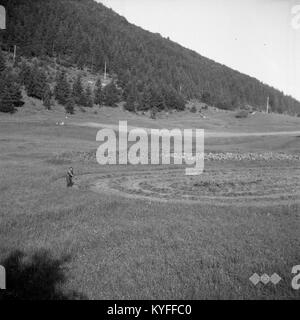 Questa fotografia del 1959 raffigura un'unità militare a Zahum, in Slovenia, che taglia il fieno in una formazione circolare, mostrando le pratiche agricole tradizionali. Foto Stock