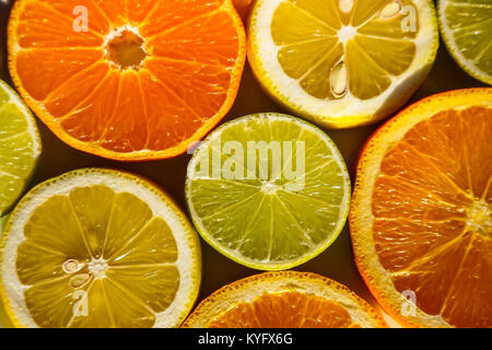 Fette di arance, limoni e limette mandarini Foto Stock