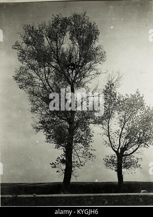 Il posto di osservazione russo vicino a Radzicz era una posizione militare durante la prima guerra mondiale, utilizzata per la sorveglianza e la difesa lungo le strade principali. Foto Stock