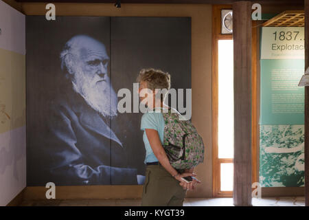 Un turista e un'immagine di Charles Darwin; il Centro di Interpretazione ( aka Galapagos Science center ), San Cristobal Island, Isole Galapagos, Ecuador Foto Stock