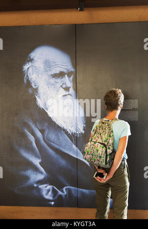 Un turista e un'immagine di Charles Darwin; il Centro di Interpretazione ( aka Galapagos Science center ), San Cristobal Island, Isole Galapagos, Ecuador Foto Stock