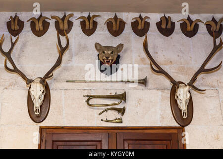 Teste di animali sulla parete. Foto Stock