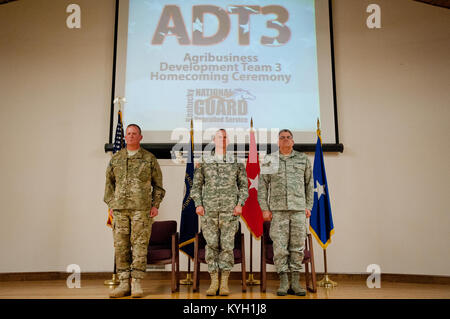 Col. Neil Mullaney (sinistra), comandante del Kentucky agro-alimentare del team di sviluppo 3, si unisce il Brig. Gen. Steve Hogan (centro), Kentucky è assistente di aiutante generale e Briga. Gen. Michael Dornbush, capo del Kentucky Guardia Nazionale congiunto del personale, durante una cerimonia di homecoming per ADT 3 al Kentucky Air National Guard Base in Louisville, KY., 28 febbraio, 2012. Mullaney, un funzionario nel Kentucky Air Guard, è il primo membro della Air National Guard per servire come un ADT commander. Il team è stato in Afghanistan per gli ultimi nove mesi, aiutando gli agricoltori afghani sviluppare un'agricoltura sostenibile. ( Foto Stock