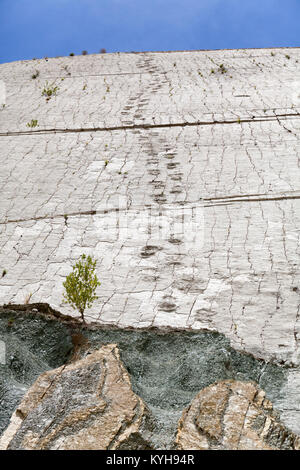 Vero e proprio footprint di dinosauri impresse nella roccia. Nacional park in Sucre, Bolivia. Stock Photo Foto Stock