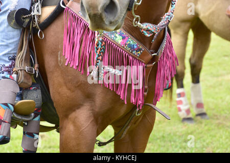 Cavallo sport, Barrel racing, RODEO EVENTI Foto Stock